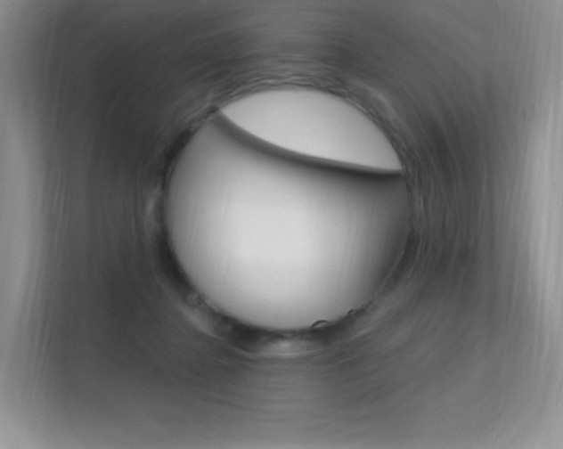 X0000112350364200908131019