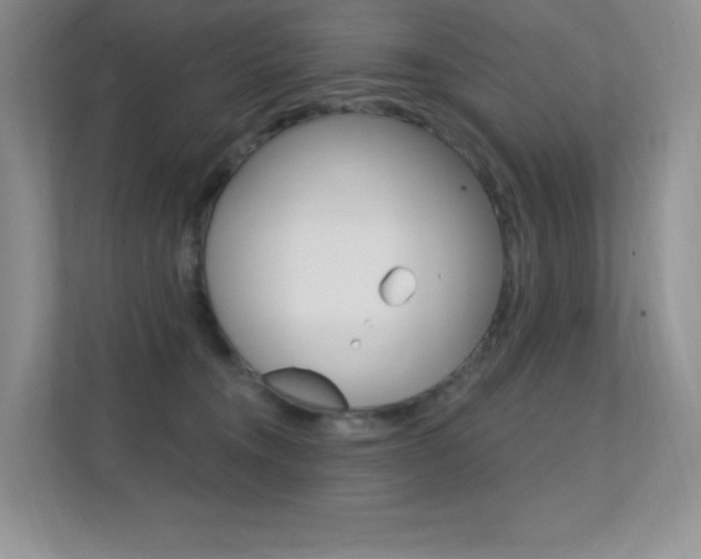 X0000112350372200908131019