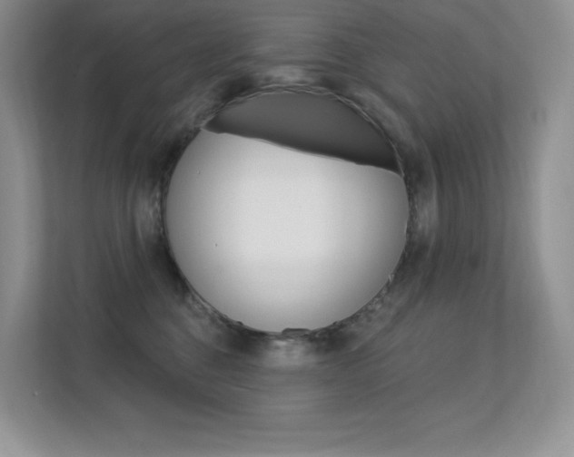 X0000112350376200908131019