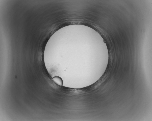 X0000112350379200908131019