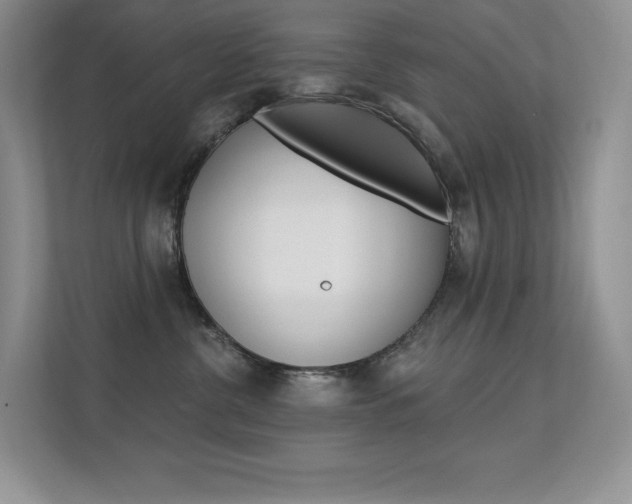 X0000112350380200908131019