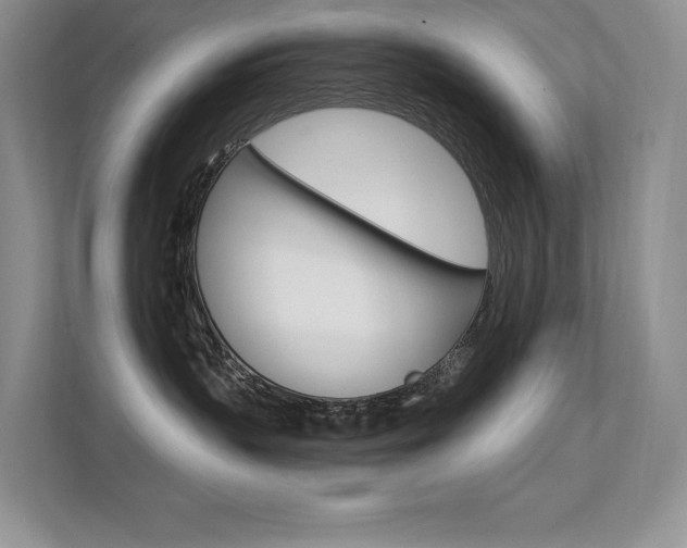 X0000112350383200908131019