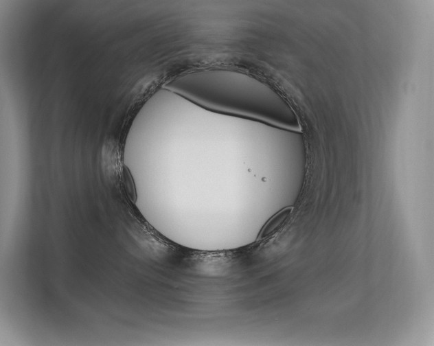 X0000112350384200908131019
