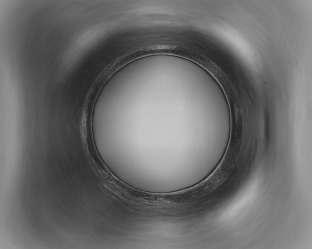 X0000112350387200908131018