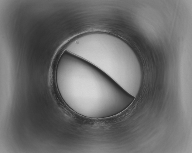 X0000112350388200908131018