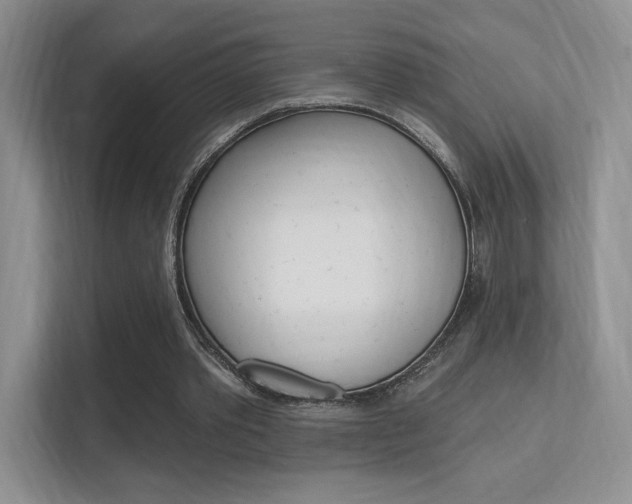 X0000112350389200908131018
