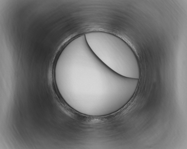 X0000112350390200908131018
