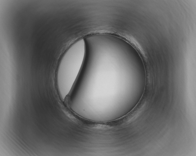 X0000112350393200908131018