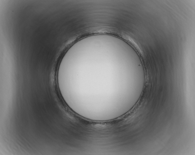 X0000112350394200908131018