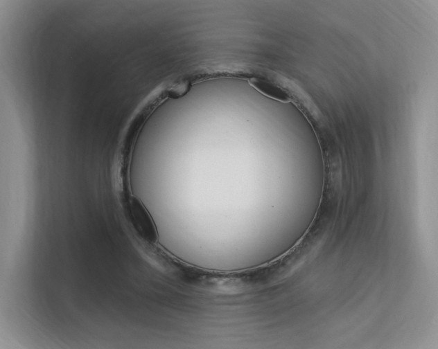 X0000112350395200908131018