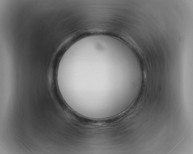 X0000112350396200908131018