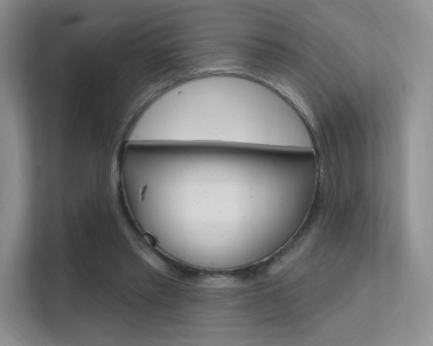 X0000112350397200908131018