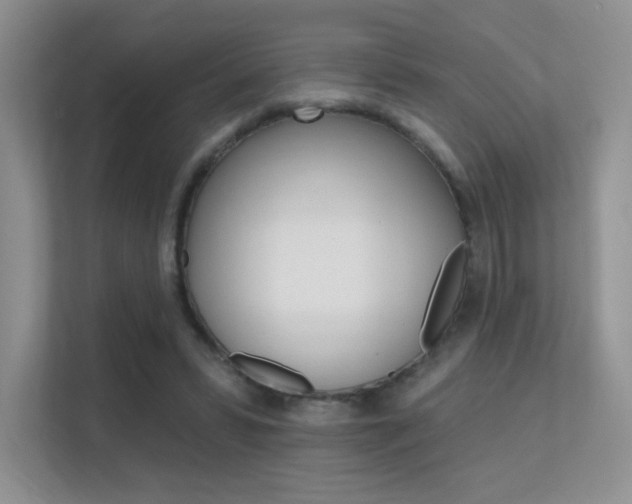X0000112350399200908131018