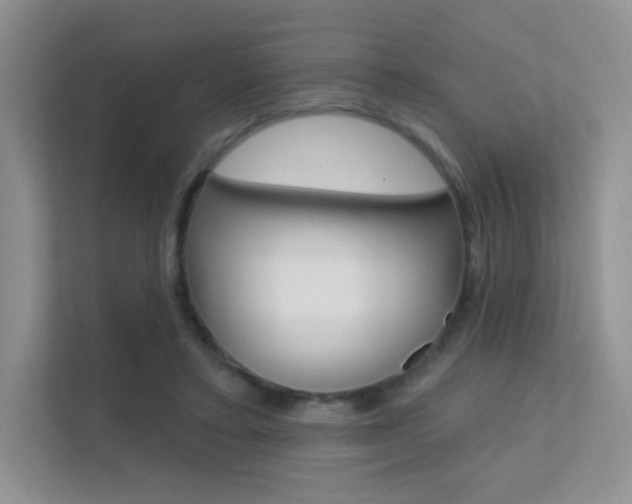 X0000112350403200908131018