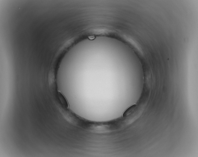 X0000112350407200908131018