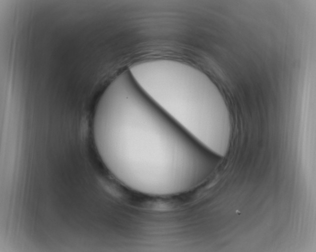 X0000112350412200908131018