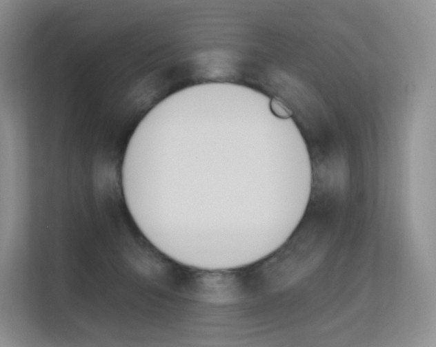 X0000112350415200908131018