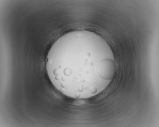 X0000112350418200908131018