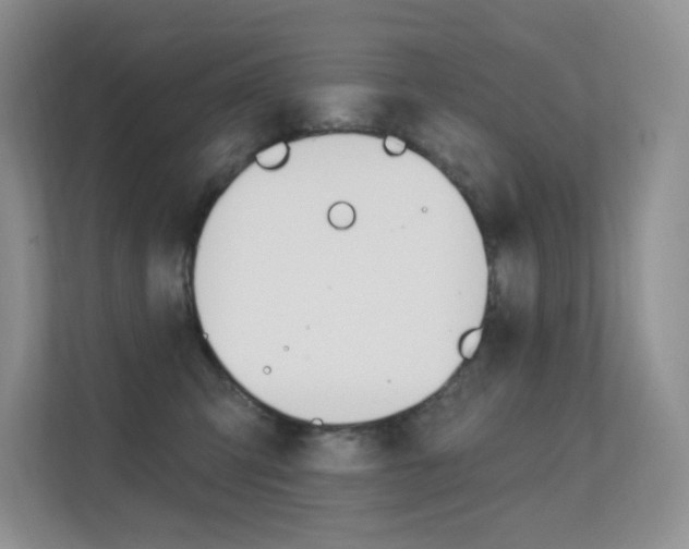 X0000112350423200908131018