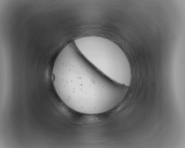 X0000112350424200908131018
