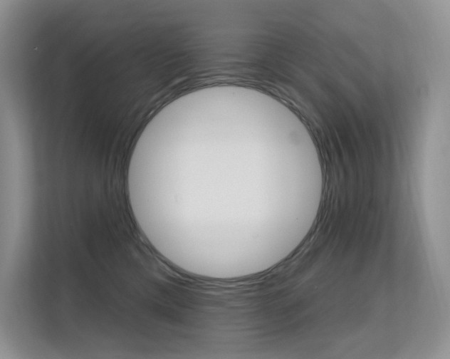 X0000112350425200908131018