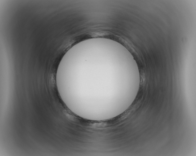 X0000112350426200908131018