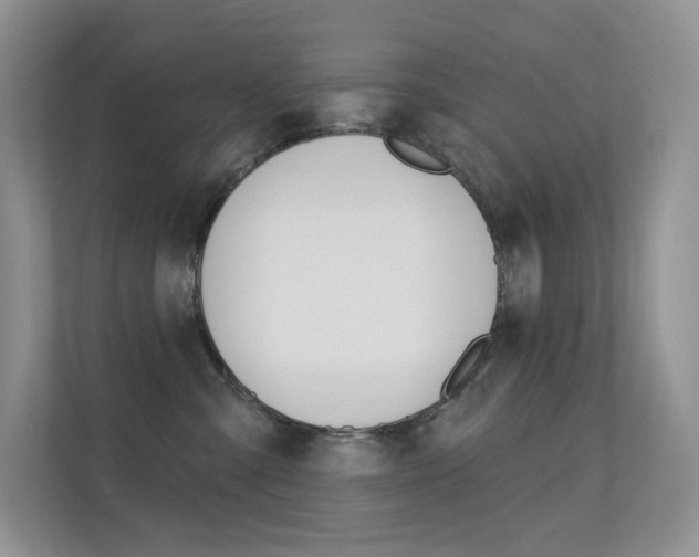 X0000112350427200908131018