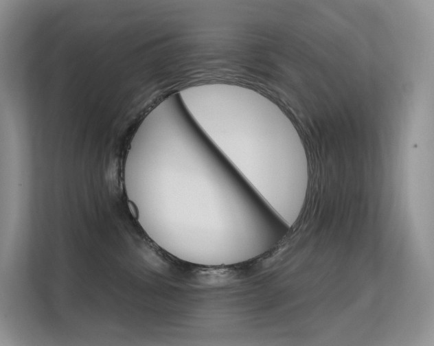 X0000112350428200908131018
