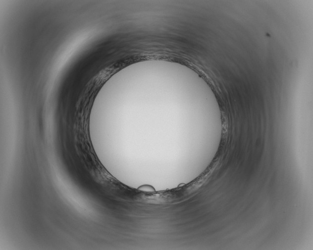 X0000112350430200908131018