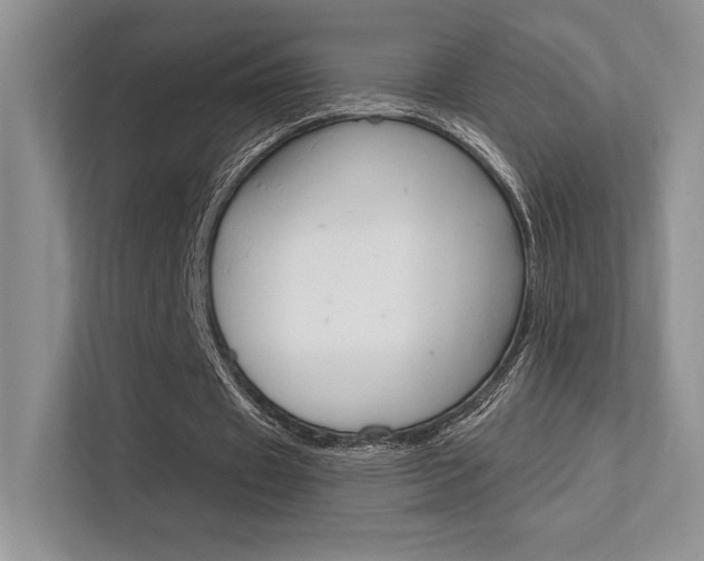 X0000112350433200908131017