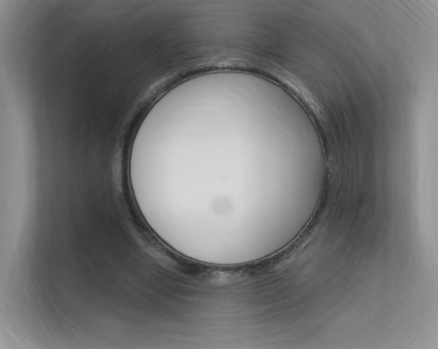 X0000112350442200908131017
