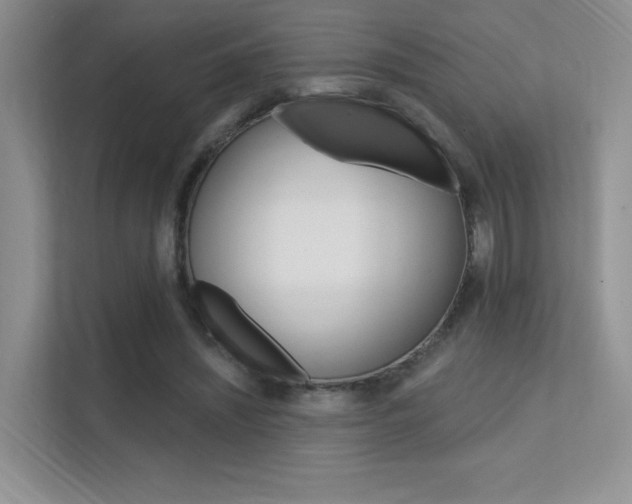 X0000112350444200908131017