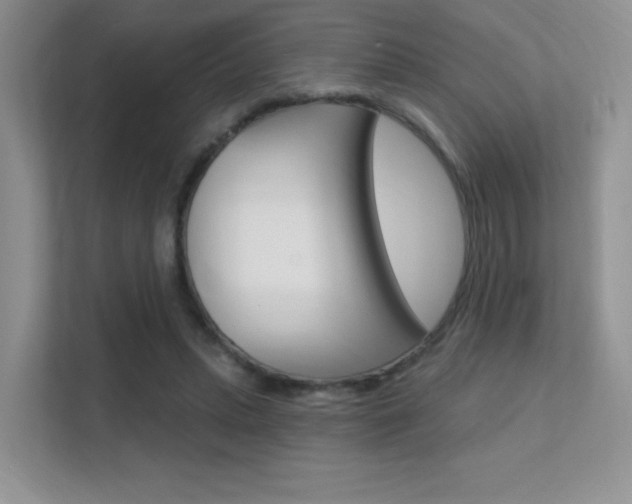 X0000112350447200908131017
