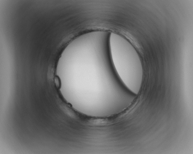 X0000112350449200908131017