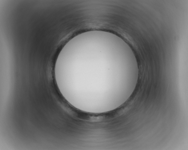 X0000112350450200908131017