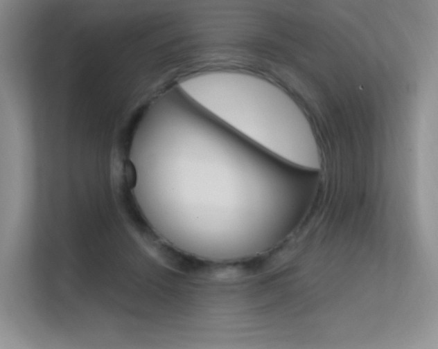 X0000112350456200908131017