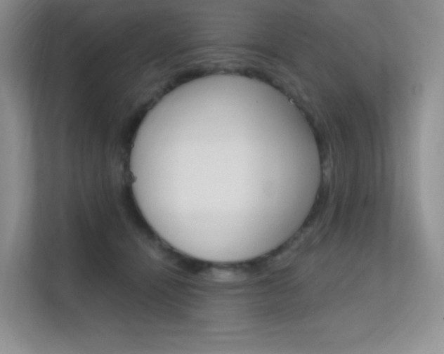 X0000112350464200908131018