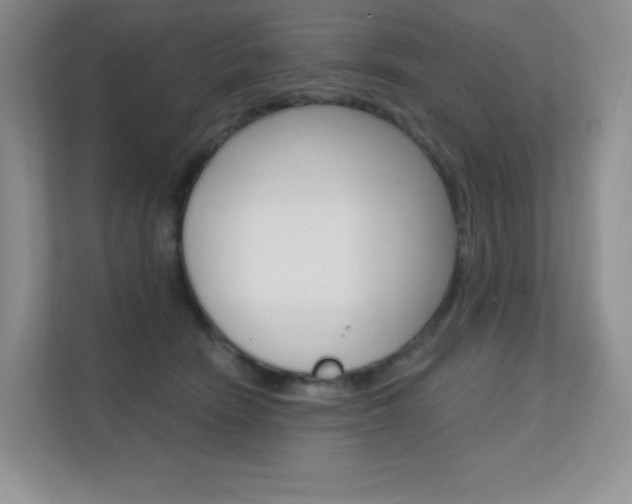 X0000112350466200908131018