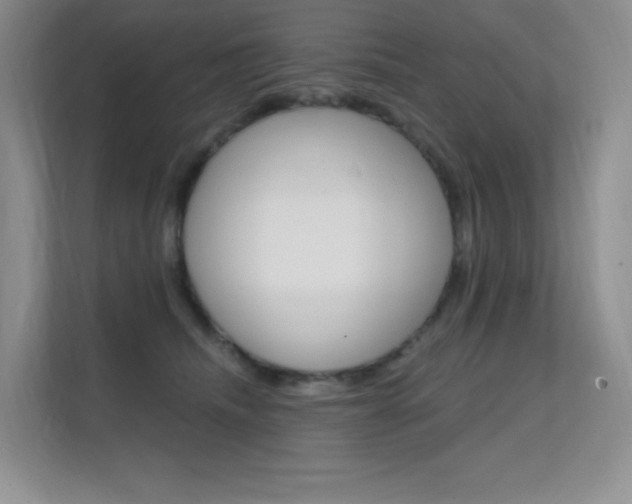 X0000112350468200908131018