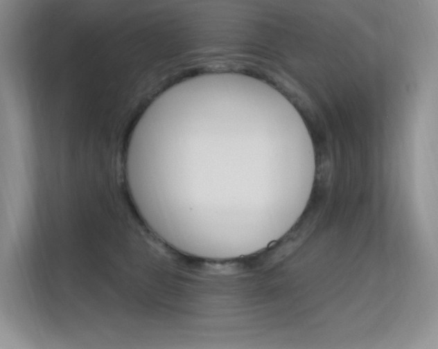 X0000112350469200908131018