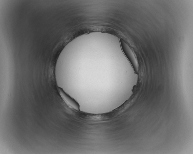 X0000112350473200908131018