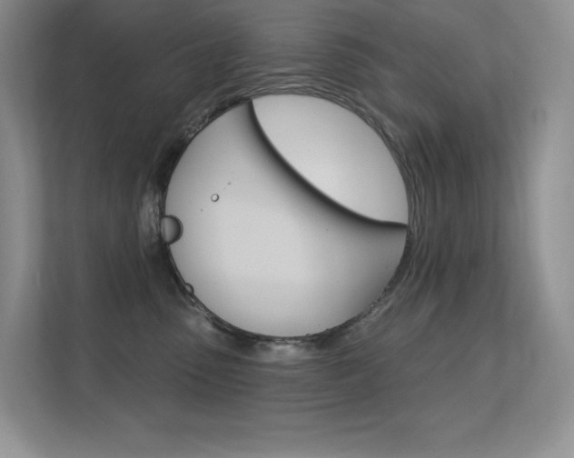 X0000112350475200908131018