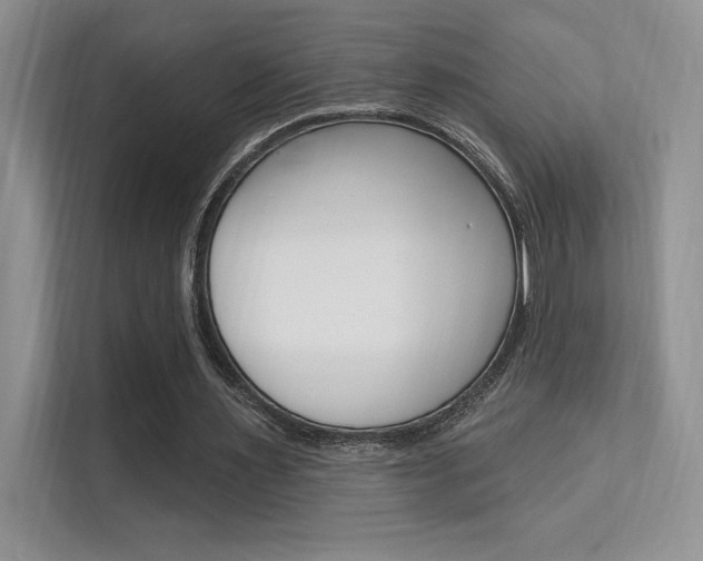 X0000112350483200908131017