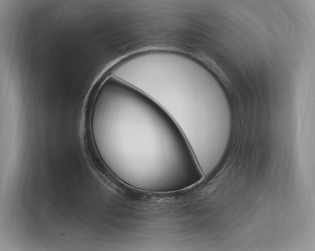 X0000112350484200908131017