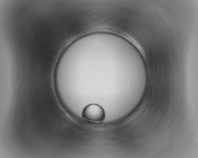 X0000112350485200908131017