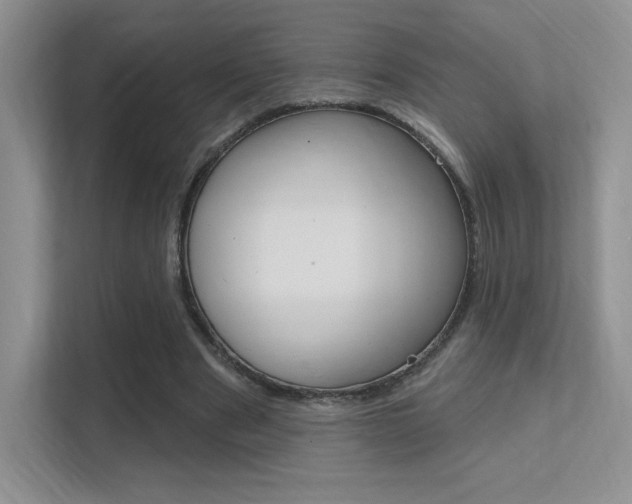 X0000112350489200908131017