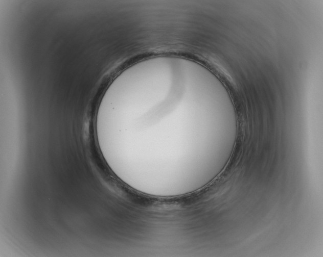 X0000112350491200908131017