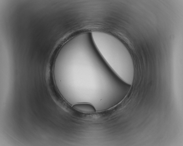 X0000112350492200908131017