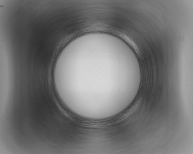 X0000112350493200908131017