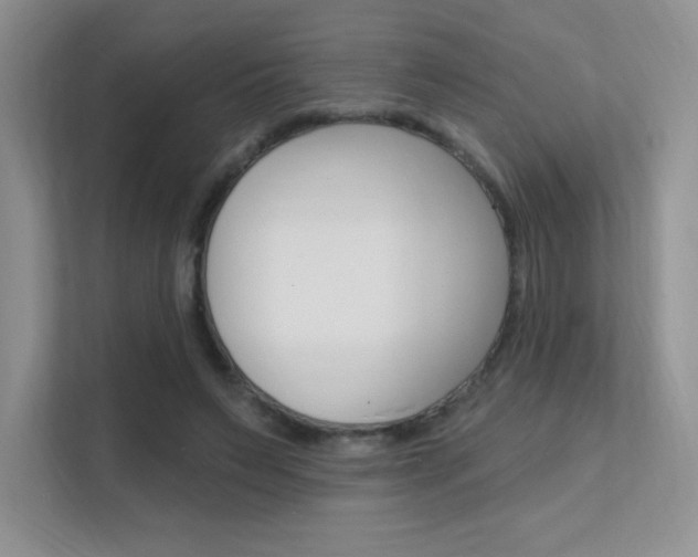 X0000112350495200908131017